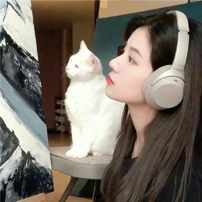 跨越彩虹